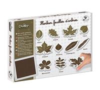 Créa Lign' Kit outils tampons Herbier, feuilles d'arbres, marron