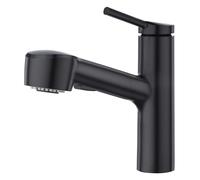 CREA Robinet de Cuisine avec 2 Types de Jet,Robinet Cuisine Douchette Extractible,Mitigeur Cuisine avec Douchette, Bec Bas Robinetterie Evier Extensible,Noir Mat