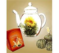 Creano Coffret Cadeau Fleur et Théière en Verre 500ml - 6 Boules de Thé Blanc avec Fleur - Ensemble Théière et Boules de Thé Fleuri - Taille: Hauteur 14 cm, Diamètre env. 10 cm