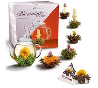 Creano Coffret Cadeau Fleurs de Thé Mix 6 pcs + 1 Teelini Bonus - Théière en Verre 500ml sans goutte - 3x Thé Noir & 3x Thé Blanc - Idé Cadeau Chic