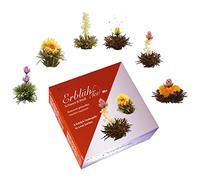 Creano Coffret Cadeau Fleurs de Thé Mix 6 pcs - Sélection Découverte 3x Thé Noir & 3x Thé Blanc - 6 fleurs différentes - Idée Cadeau pour Femmes & Mamans