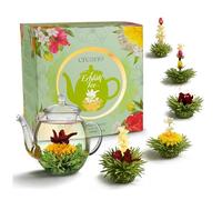 Creano Coffret Cadeau Fleurs de Thé Vert - Flower Design - Thé à Fleurs avec une Théière en Verre de 500 ml et 6 variétés de thé vert - Cadeau de Noël - Cadeau pour les femmes et les amateurs de thé