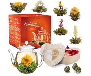 Creano Coffret Fleur de Thé 6 pcs Boîte Cœur - Théière en Verre 500ml sans goutte - 6 variétés de thé blanc - Spectacle visuel & Idée cadeau femme - Thé en Fleurs