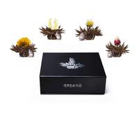 Creano Coffret Magnétique Teelini 6 pcs - Fleurs de Thé Noir en Portion de Tasse - 4 Saveurs Aromatiques - Idée Cadeau Anniversaire, Collègue & Bureau