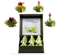 Creano Coffret Magnétique Teelini 6 pcs - Fleurs de Thé Vert en Portion de Tasse - 4 Saveurs Fruitées - Idée Cadeau Anniversaire, Collègue & Bureau
