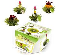 Creano Variation de fleurs de thé dans le format de tasse exclusif - 8 fleurs de thé en 4 variétés différentes (thé vert)