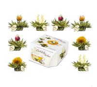 Creano Coffret Teelini 8 pcs - Fleurs de Thé Vert en Portion de Tasse - 4 Saveurs Fruitées - Idée Cadeau Originale, Bureau & Détente