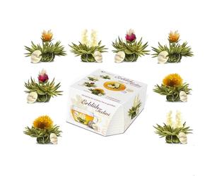 Creano Coffret Teelini 8 pcs - Fleurs de Thé Vert en Portion de Tasse - 4 Saveurs Fruitées - Idée Cadeau Originale, Bureau & Détente