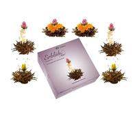 Creano „Fleurs de Thé“ Noirs 6 pcs - Coffret Découverte pour s'initier - Thé Noir de Qualité Supérieure avec différentes fleurs - Cadeau pour amateurs