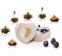 Creano Mix de Fleurs de Thé - Coffret "Flower Tea" | 6 roses de Thé (Thé noir)