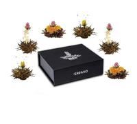 Creano „Fleurs de Thé“ Noirs 6 pcs - Coffret Magnétique Élégant - Thé Noir de Qualité Supérieure avec différentes fleurs - Idée Cadeau Chic pour Femmes
