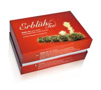 Creano fleurs de thé - Thé blanc