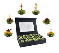 Creano „Fleurs de Thé“ Verts 18 pcs - Coffret Magnétique XL avec Fenêtre - 6 variétés de thé vert aromatisé - Format Dégustation