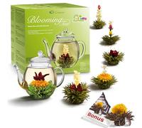 Creano „Fleurs de Thé“ Verts 6 pcs + 1 boule Bonus - Théière en Verre 500ml sans goutte - 6 variétés - Idée cadeau originale