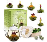 Creano „Fleurs de Thé“ Verts 6 pcs Boîte Cœur - Théière en Verre 500ml sans goutte - 6 variétés de thé vert - Cadeau romantique
