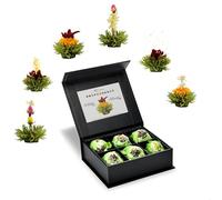 Creano® „Fleurs de Thé“ Verts 6 pcs - Coffret Magnétique Moderne | 6 variétés de thé vert fruité aromatisé - Idée cadeau chic