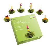 Creano Fleurs de Thé dans une Boîte Cadeau noble - Thé vert (6 Sortes différentes)
