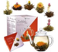 Creano - Mix de Fleurs - Coffret cadeau- « Floraison » -Avec Théière en Verre | 6 Sortes de Thé blanc et de Thé noir