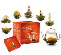 Creano - Mix Fleurs de Thé dans Coffret Cadeau- « Floraison » avec Théière en Verre | Thé blanc (6 Sortes différentes)