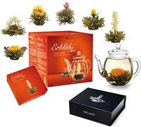 Creano Set Cadeau Complet composé d'une Théière soufflée à la bouche sans goutte avec 6 Fleurs de Thé et une Boîte Magnétique élégante avec 6 Fleurs de Thé - Thé en Fleurs