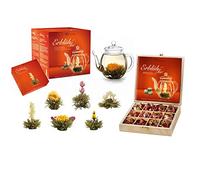 Creano Set Cadeau Complet composé d'une Théière soufflée à la bouche sans goutte avec 6 Fleurs de Thé et eine Boîte en Bois avec 12 Fleurs de Thé supplémentaires - Thé en Fleurs