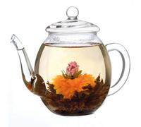 Creano® Théière en verre pour fleurs de thé et thés en vrac - 500 ml | Théière élégante résistante à la chaleur avec couvercle en verre