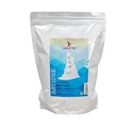 CREARTEC Artebianco masse de coulée blanche, séchant à l'air, pâte de coulée, pâte à modeler, pour projets DIY, créativité, sculptures, figures, malléable, facile à utiliser 1000 g