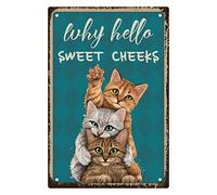CREATCABIN 3 Chat Métal Tin Sign Why Hello Sweet Cheeks Funny Tin Sign Vintage Metal Poster Sign Retro Hanging Wall Art Decor for Home Bathroom Kitchen Living Room Christmas 30x20cm