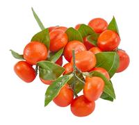 CREATCABIN 5 grappes D'Oranges Artificielles Fausses Oranges Mini Oranges Décoratives pour Table Cuisine Citrons Verts Mousse Mandarine Agrumes Accessoires Modèle Faux Fruits Réalistes 8.8x7.5cm