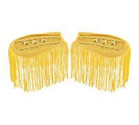 CREATCABIN Épaulettes à Franges Dorées 2 pièce Style Punk Amovibles avec Épingles pour Blazer Veste Costume Accessoire de Cosplay 20x8cm/7.87x3.15inch