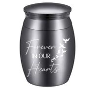 CREATCABIN Petites Urnes pour Cendres Mini Urnes Souvenirs Support Cendres Miniature Acier Inoxydable Unique Petit Jeton Partage Urne Crémation pour Animaux Compagnie 4x3cm(Noir)-Forever In Our Hearts