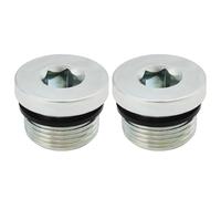 Create idea 2 Pièce M22 X 1,5 Mm Bouchon D'étanchéité en Acier Au Carbone avec Joint en Caoutchouc Bouchon de Tuyau D'eau Hexagonal Intérieur Utilisé pour Sceller L'étanchéité Et Le Blocage des Pompes