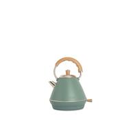 CREATE KETTLE RETRO S/Bouilloire électrique verte Sage/ébullition rapide, capacité 600 ml, arrêt automatique, filtrage anti-calcaire, arrêt automatique, indicateur de niveau d'eau, Ø17,2 cm, 800 W
