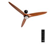 CREATE Ventilateur de plafond WIND CENTURY Ø152 cm 40W lumière LED 3 températures télécommande noir