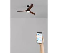 CREATE WINDCUP/Ventilateur de plafond avec lumière noire, pales en bois foncé avec Wifi et télécommande, 40 W, silencieux, Ø132 cm, 3 températures de lumière, 2 hauteurs, fonction été/hiver