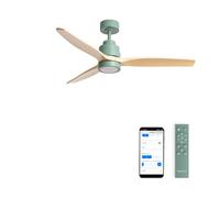 CREATE / WINDSTYLANCE M/Ventilateur plafond ABS vert sauge lumière pales bois naturel Wifi et télécommande/Silencieux, Ø132 cm, minuterie, été-hiver, double hauteur