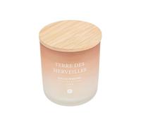 Créateur d'intérieur - Bougie Parfumée en Verre "Sana" 255g Terre des Merveilles