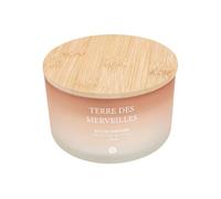 Créateur d'intérieur - Bougie Parfumée en Verre "Sana" 420g Terre des Merveilles