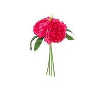 Atmosphera Créateur d'intérieur - Bouquet de Fleurs "4 Pivoines" 30cm Rose Blush G