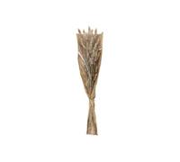 Atmosphera - Bouquet de fleurs séchées « Ori » blanc ivoire - H58 cm