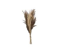 Créateur d'intérieur - Bouquet de Fleurs Séchées "Pampa" 58cm Naturel