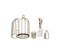 Atmosphera Coffret de fragrances Paola Créateur d'intérieur 24 cm Fleur de jasmin