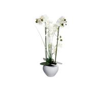 Créateur d'intérieur - Composition Florale & Vase "Orchidée" 53cm Blanc
