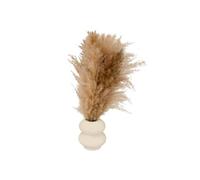 Atmosphera Composition Pampa artificielle "Glen" 42 cm Blanc