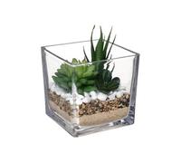 Atmosphera Créateur d'intérieur - Composition Plante Artificielle 15cm Transparent
