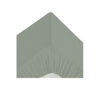 Créateur d'intérieur - Drap Housse 1 Personne Percale 90x190cm Vert Tilleul