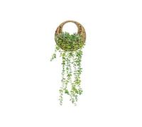Atmosphera Créateur d'intérieur – Plante artificielle suspendue Zéa – Eucalyptus 70 cm