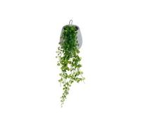 Atmosphera – Lierre artificiel en pot «Mailo» – 62 cm – Gris clair G