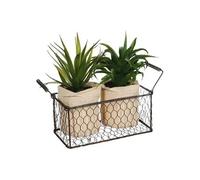Atmosphera Créateur d'intérieur - Lot de 2 Aloe Vera & Panier "Well" 23cm Vert Vert G