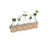 Créateur d'intérieur - Lot de 5 Soliflores & Tiges "Cosy" 40cm Beige